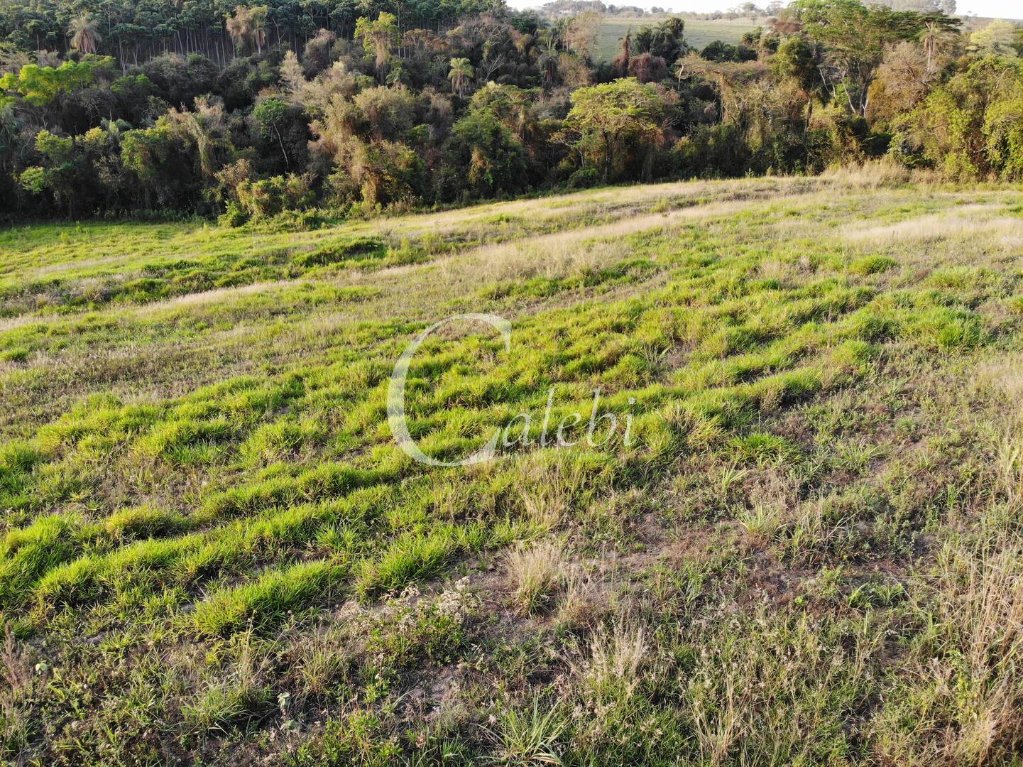 Terreno à venda, 2m² - Foto 1