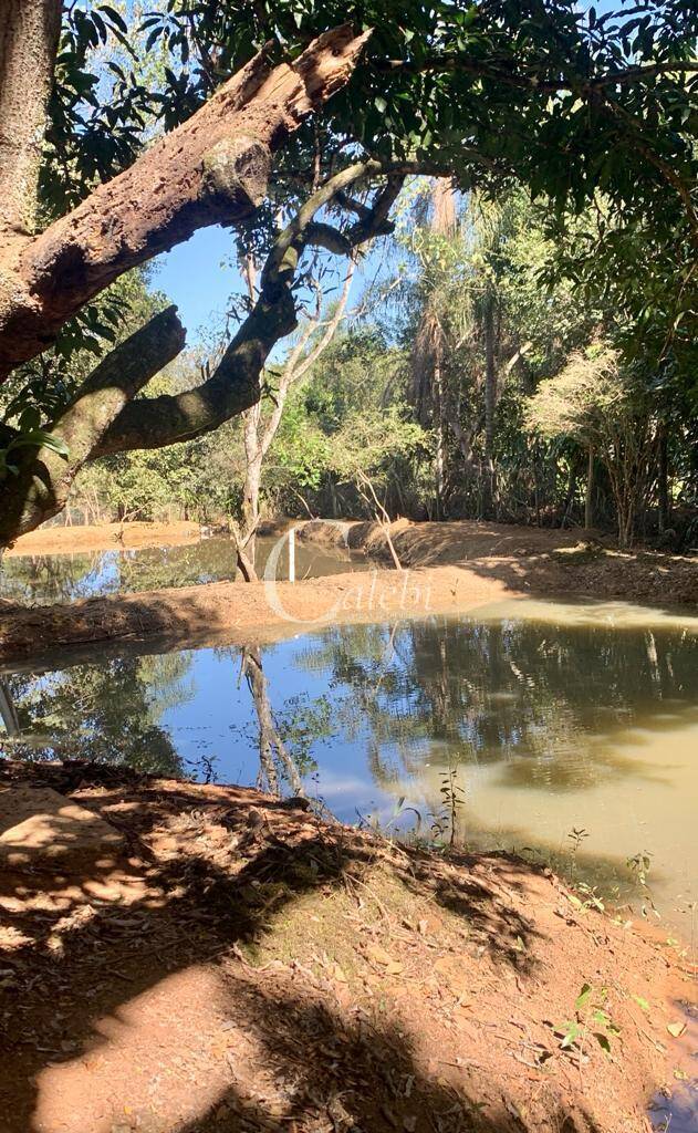 Fazenda à venda com 2 quartos, 2m² - Foto 5