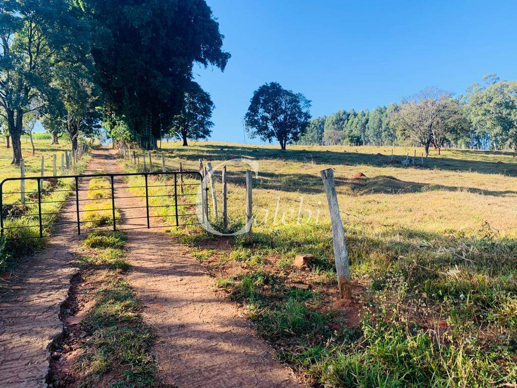 Fazenda à venda com 2 quartos, 2m² - Foto 1