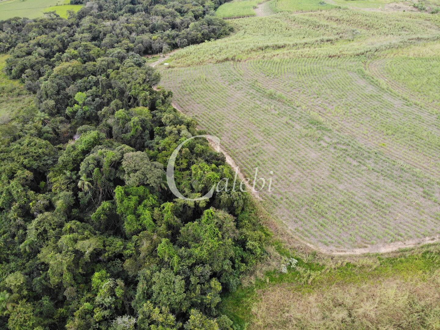 Terreno à venda, 7m² - Foto 2