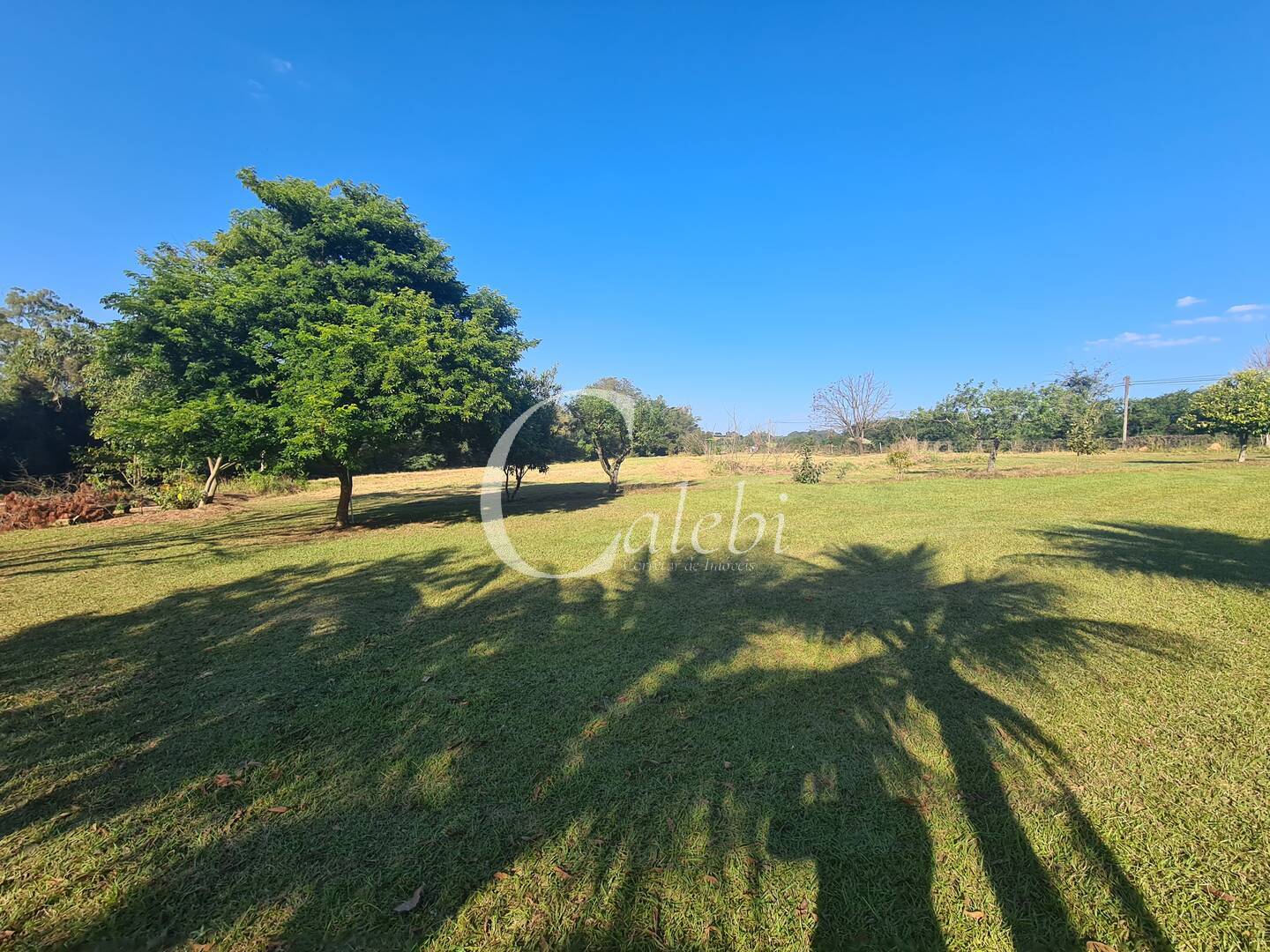 Fazenda à venda com 4 quartos, 400m² - Foto 4