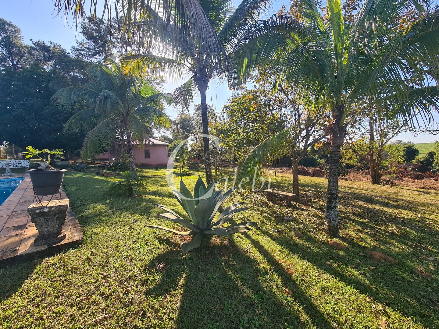 Fazenda à venda com 4 quartos, 400m² - Foto 7