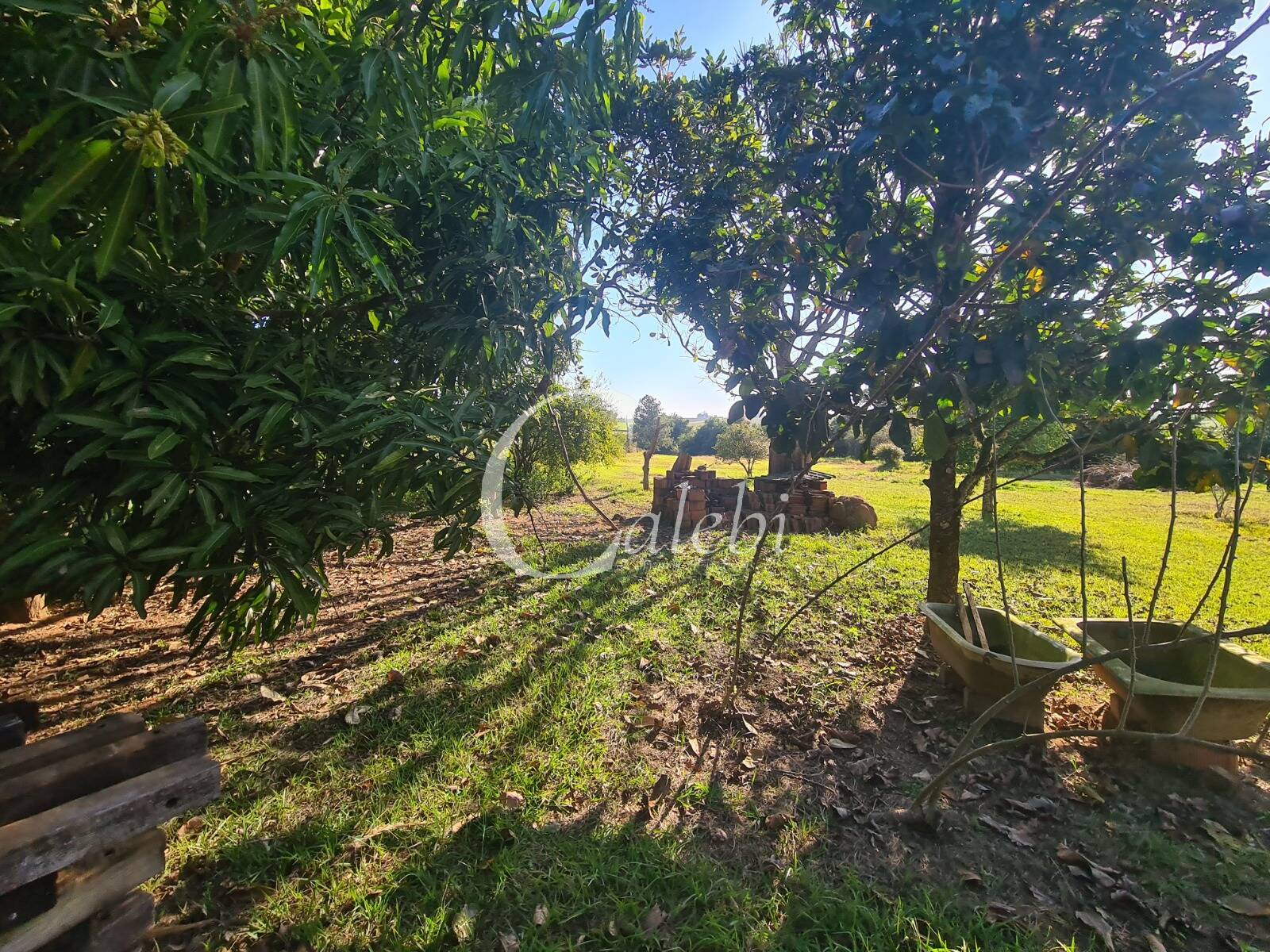 Fazenda à venda com 4 quartos, 400m² - Foto 8