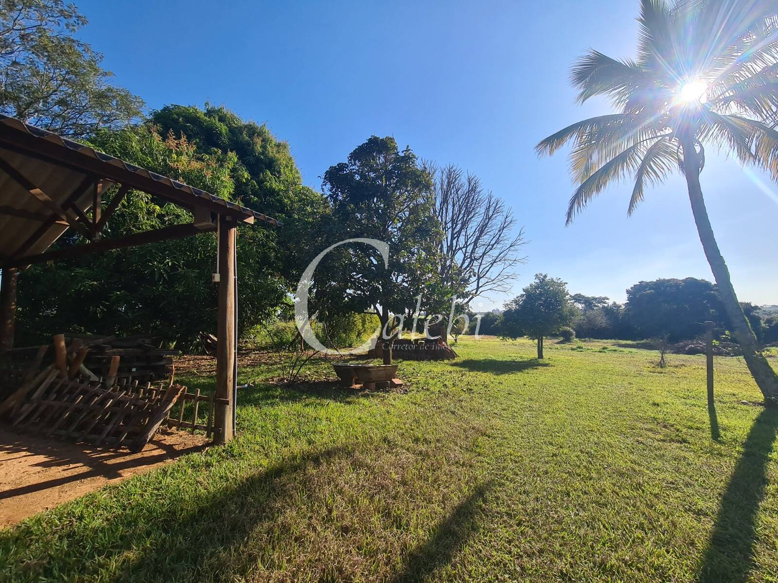 Fazenda à venda com 4 quartos, 400m² - Foto 10