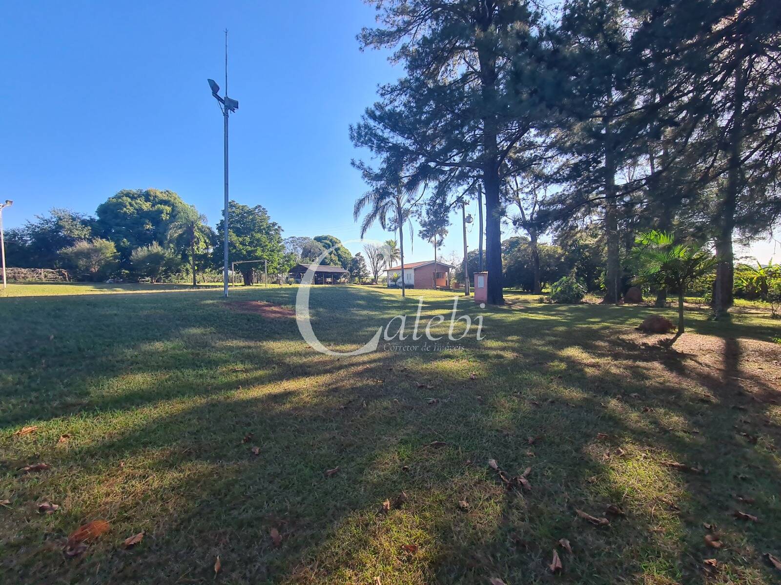 Fazenda à venda com 4 quartos, 400m² - Foto 13