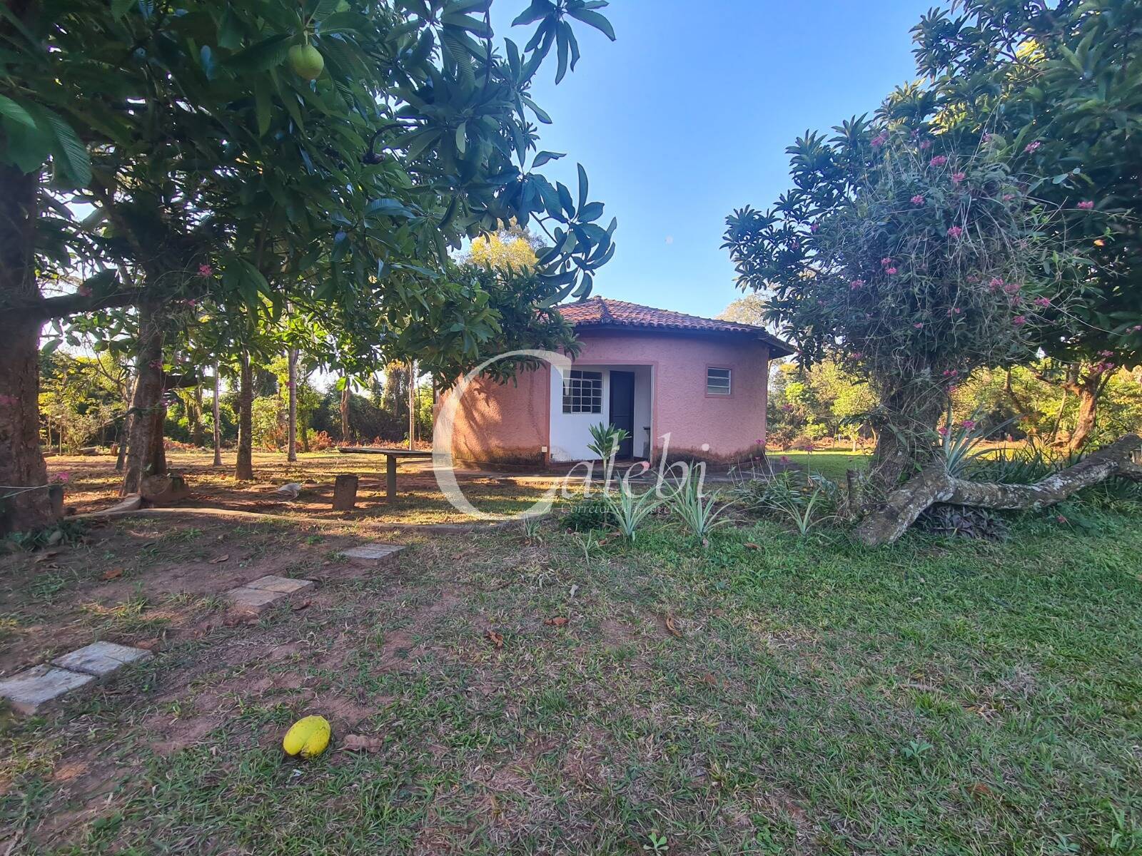 Fazenda à venda com 4 quartos, 400m² - Foto 16