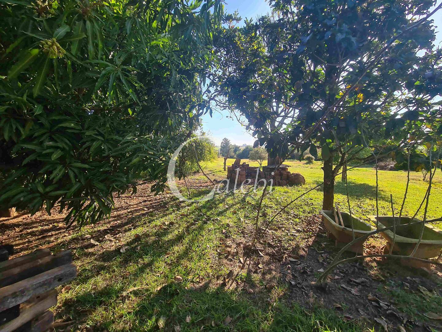 Fazenda à venda com 4 quartos, 400m² - Foto 25