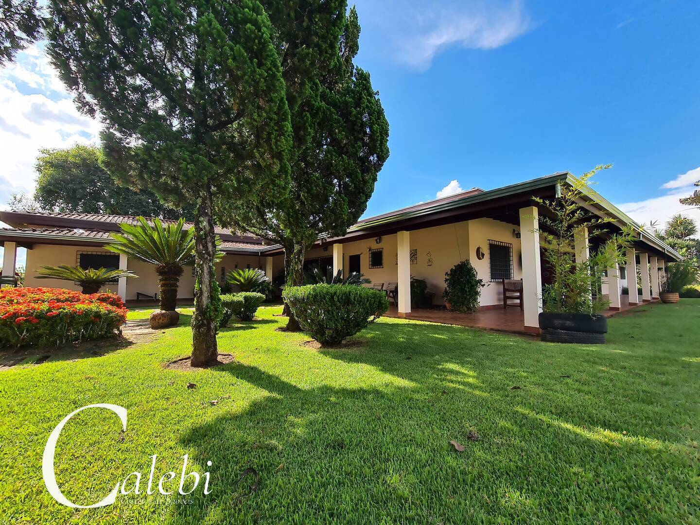 Fazenda à venda com 6 quartos, 6m² - Foto 30