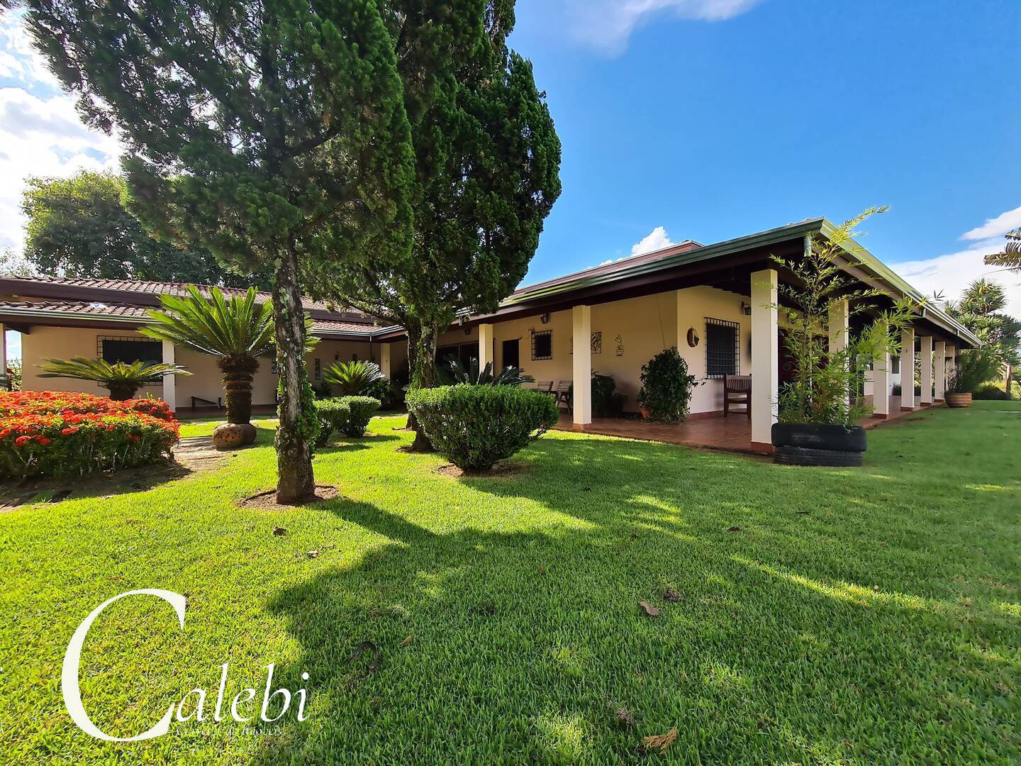 Fazenda à venda com 6 quartos, 6m² - Foto 31