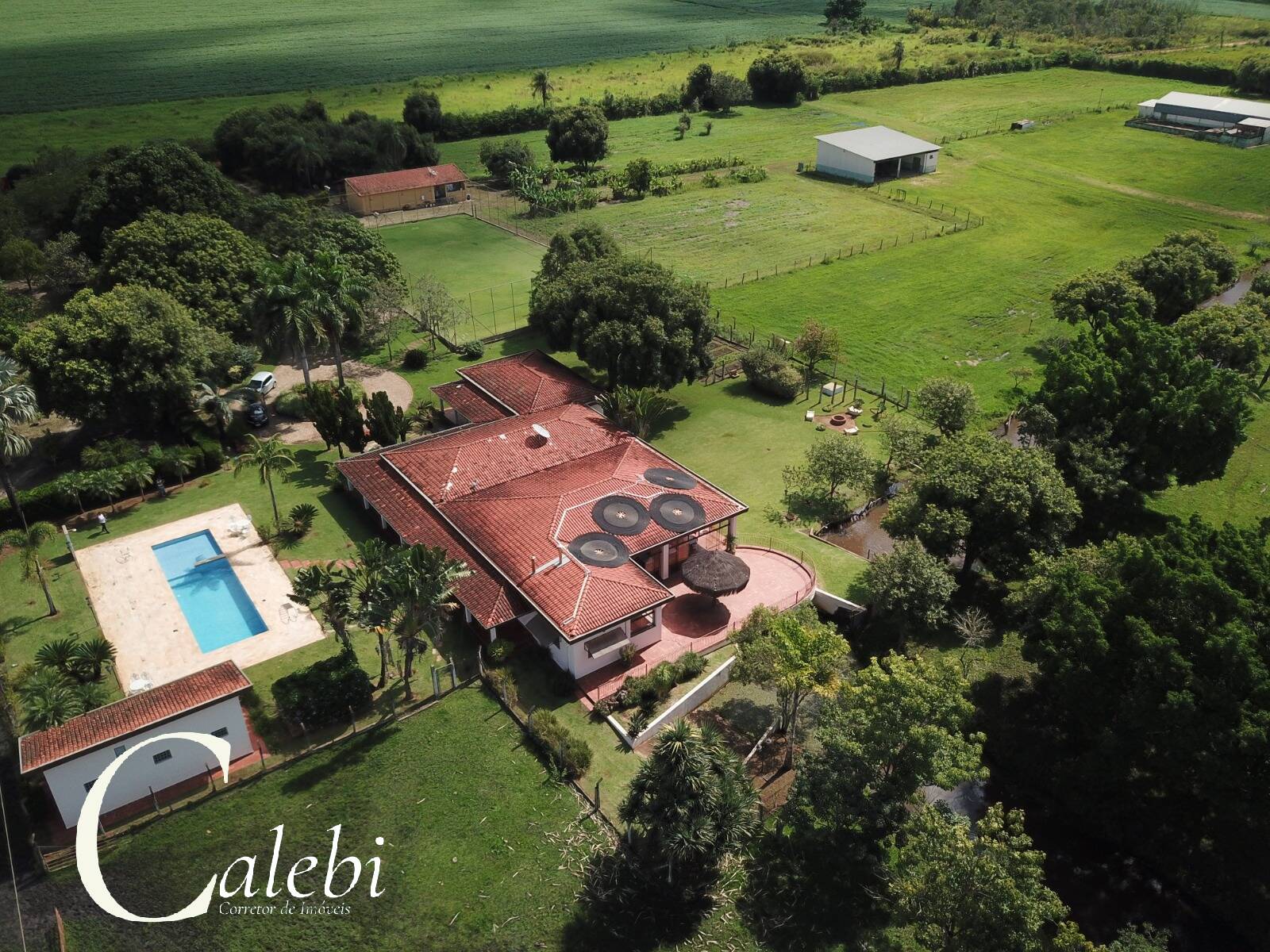 Fazenda à venda com 6 quartos, 6m² - Foto 69