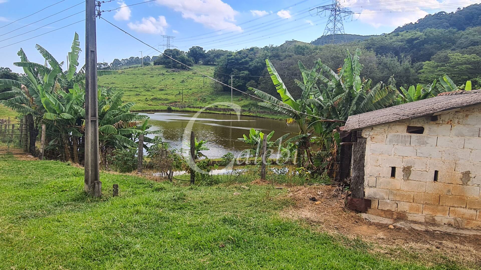 Fazenda à venda com 3 quartos, 63m² - Foto 4