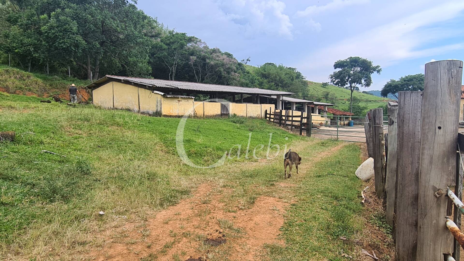 Fazenda à venda com 3 quartos, 63m² - Foto 7