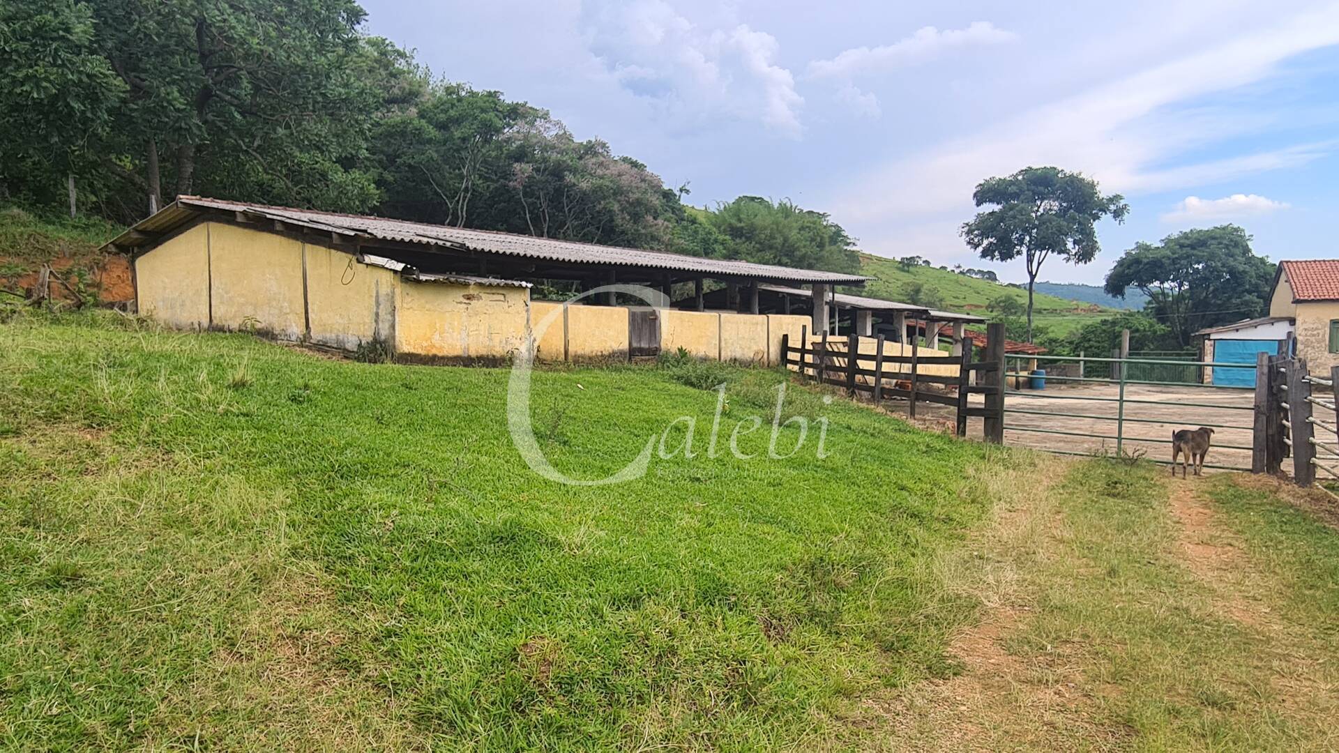 Fazenda à venda com 3 quartos, 63m² - Foto 11