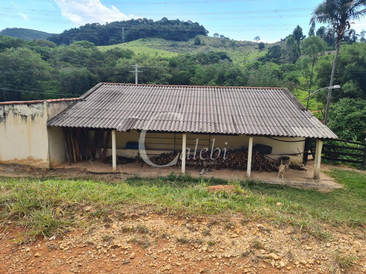 Fazenda à venda com 3 quartos, 63m² - Foto 26