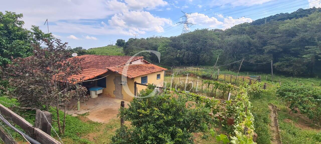 Fazenda à venda com 3 quartos, 63m² - Foto 39