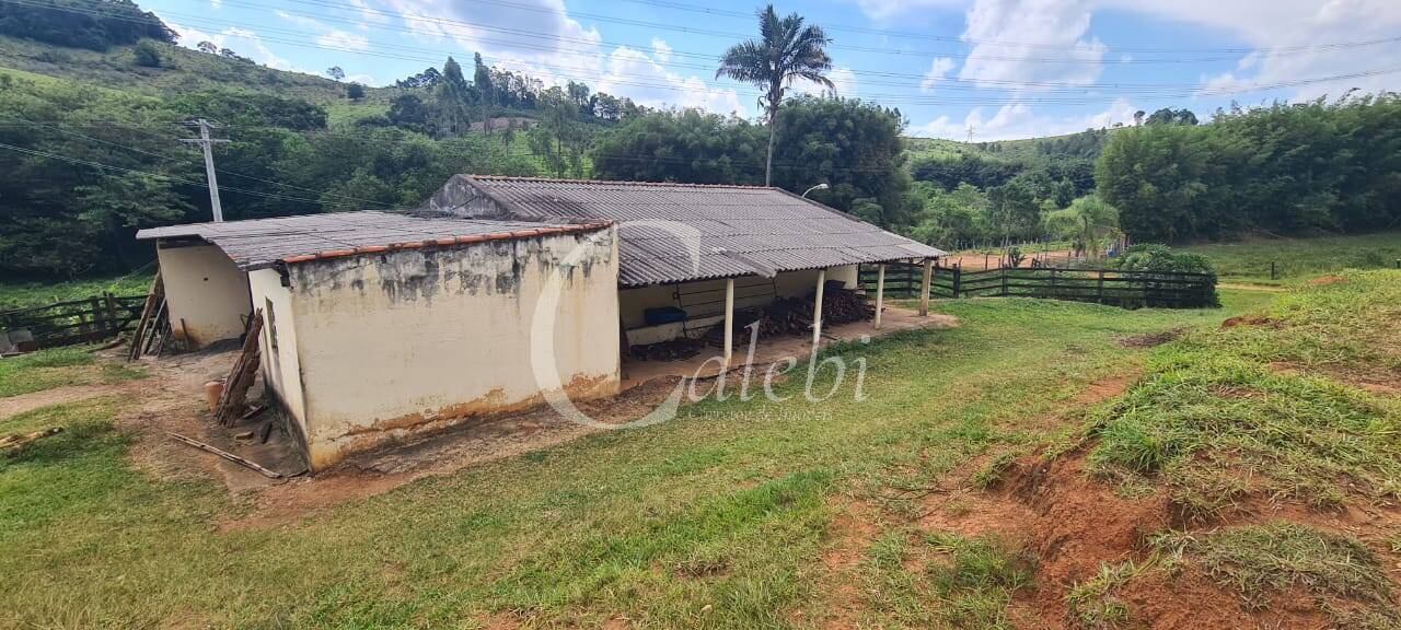 Fazenda à venda com 3 quartos, 63m² - Foto 40