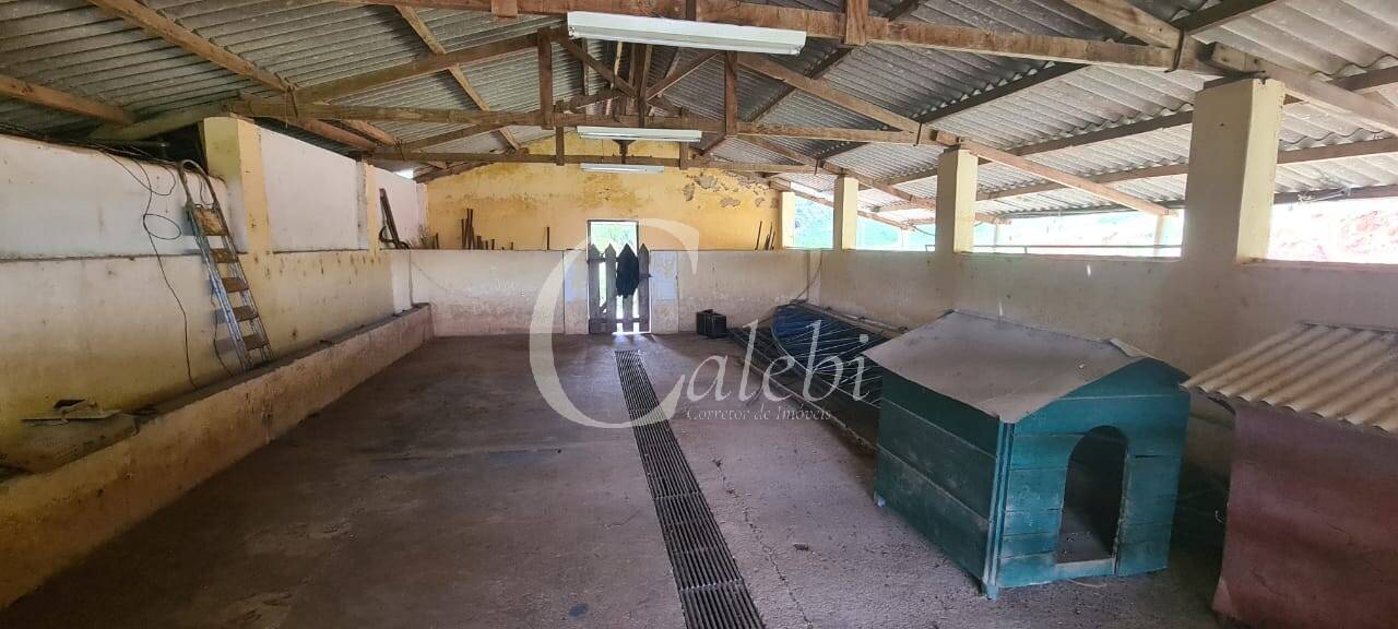 Fazenda à venda com 3 quartos, 63m² - Foto 46