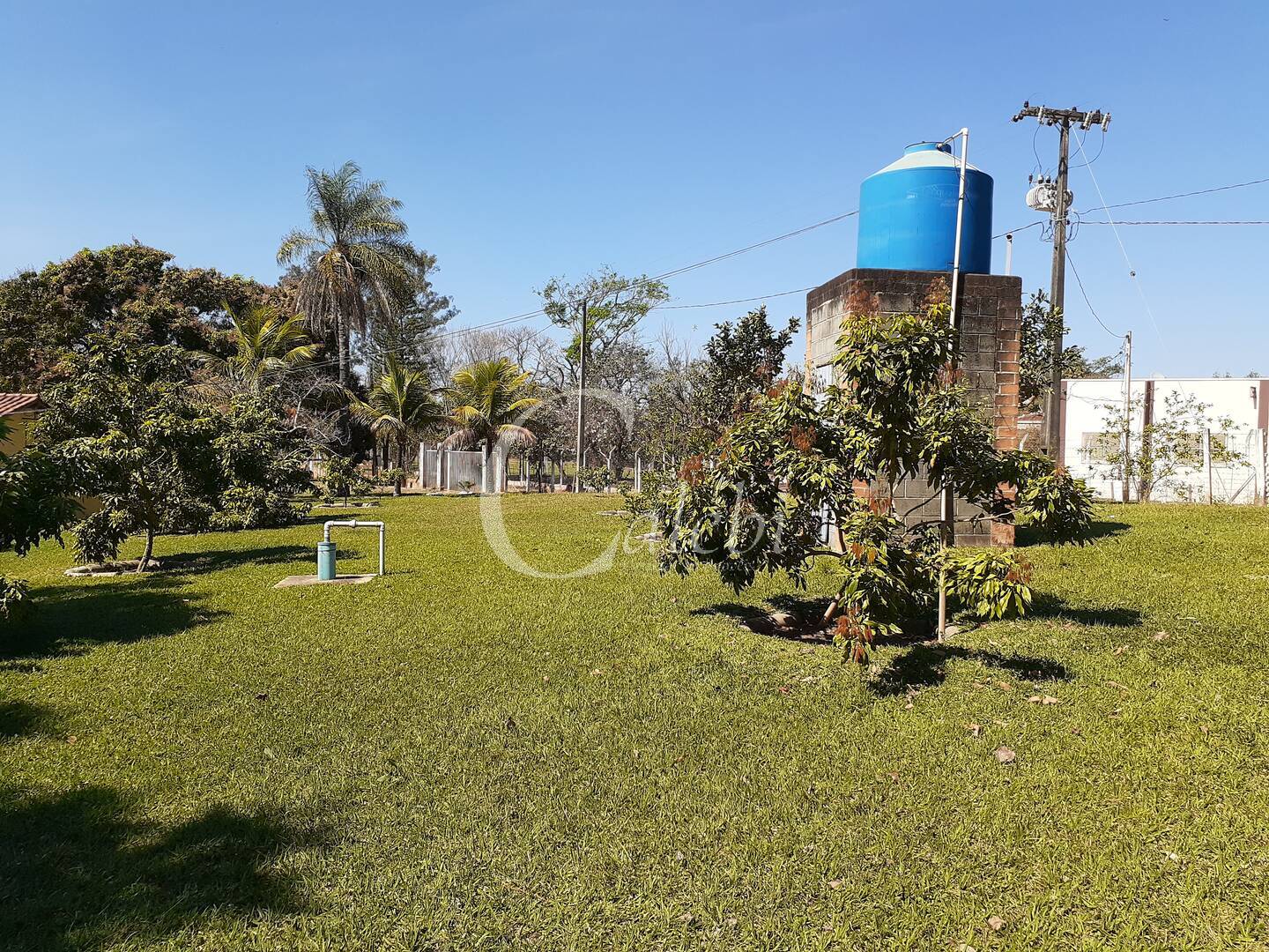 Fazenda à venda com 4 quartos, 2m² - Foto 6