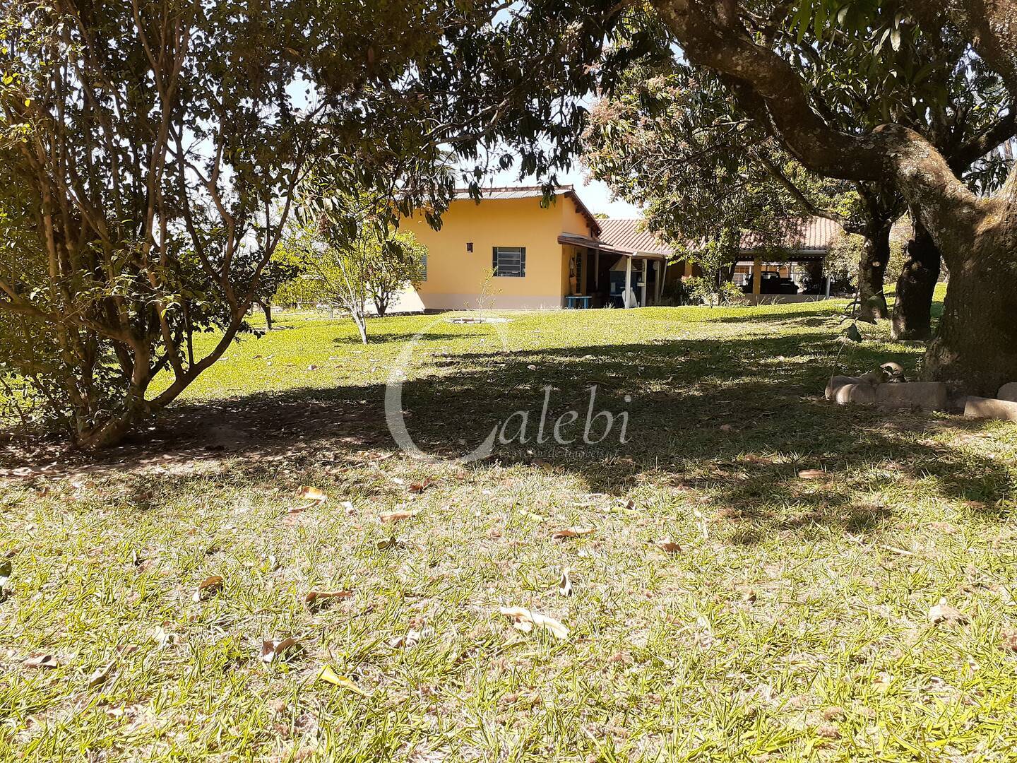 Fazenda à venda com 4 quartos, 2m² - Foto 7