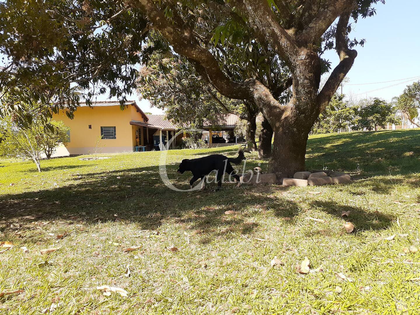 Fazenda à venda com 4 quartos, 2m² - Foto 2