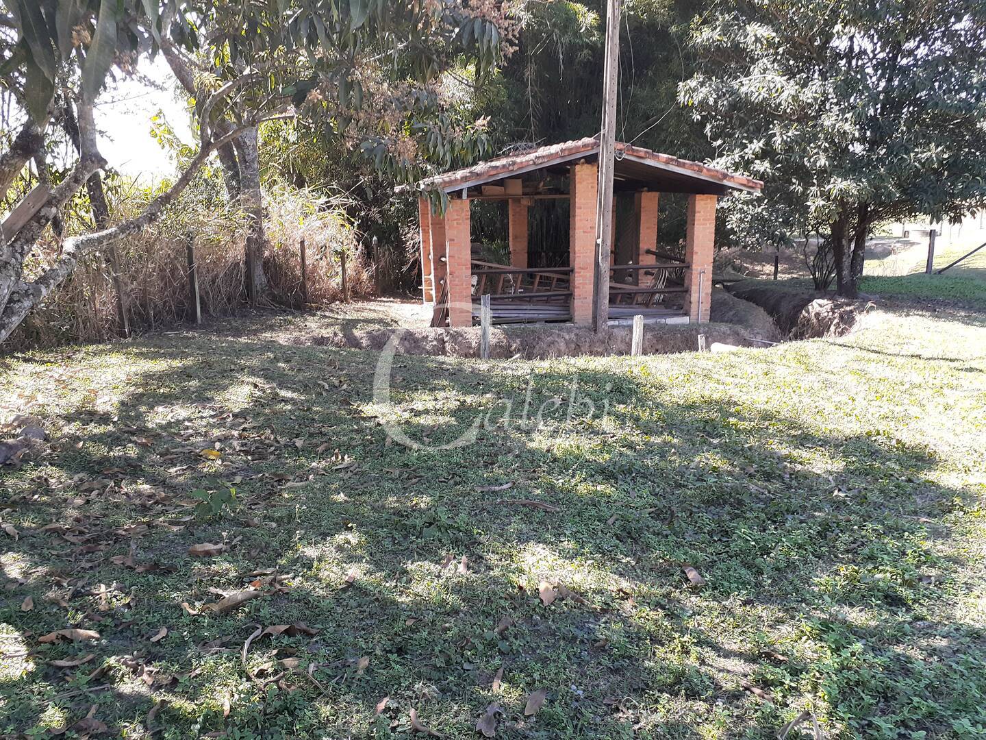 Fazenda à venda com 4 quartos, 2m² - Foto 11