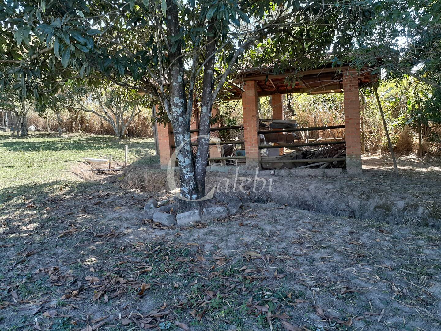 Fazenda à venda com 4 quartos, 2m² - Foto 13