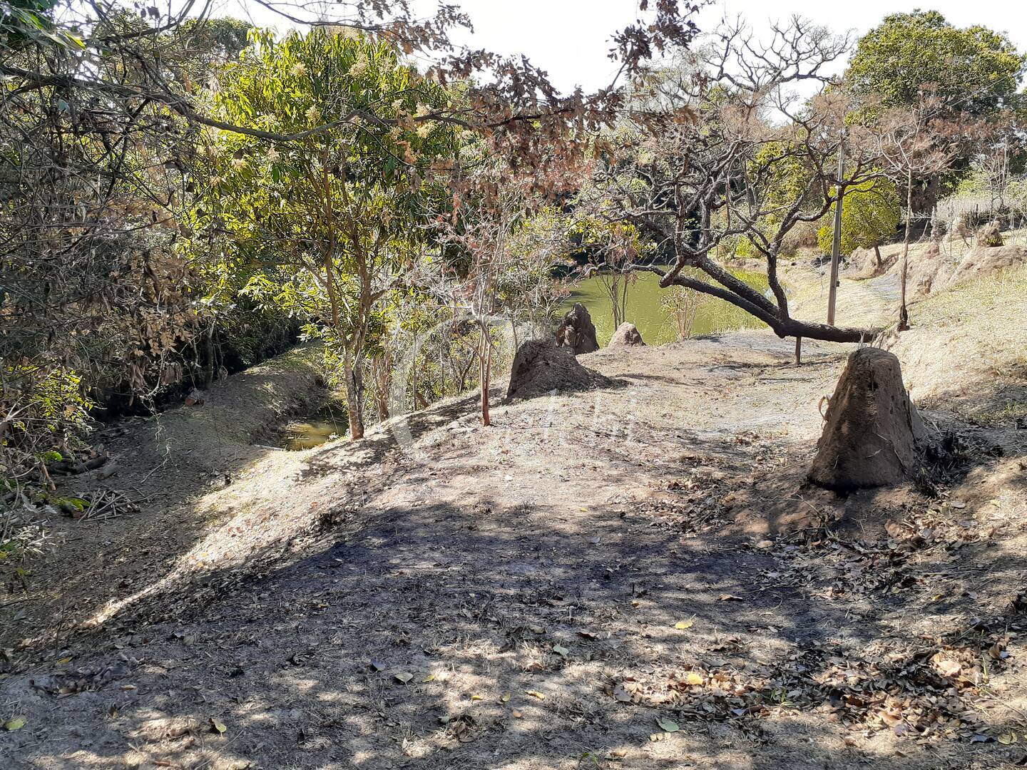 Fazenda à venda com 4 quartos, 2m² - Foto 16