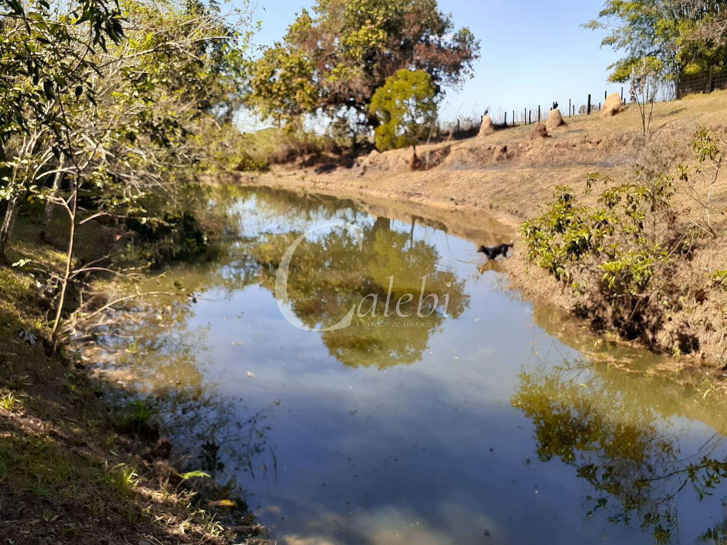 Fazenda à venda com 4 quartos, 2m² - Foto 17