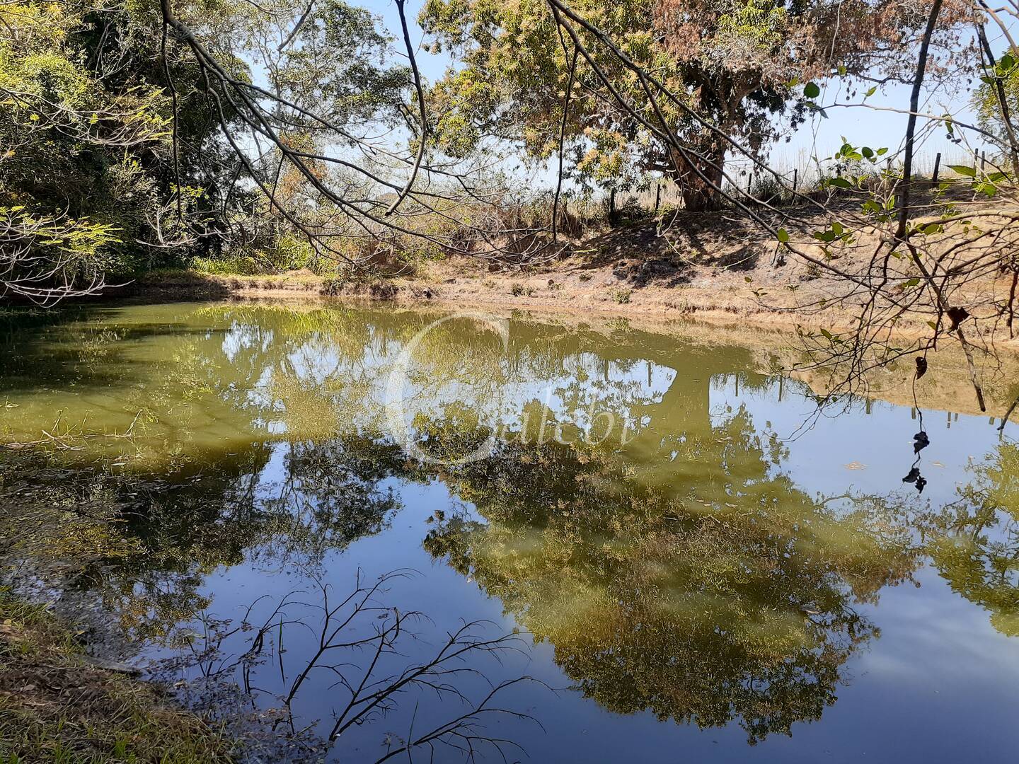 Fazenda à venda com 4 quartos, 2m² - Foto 18