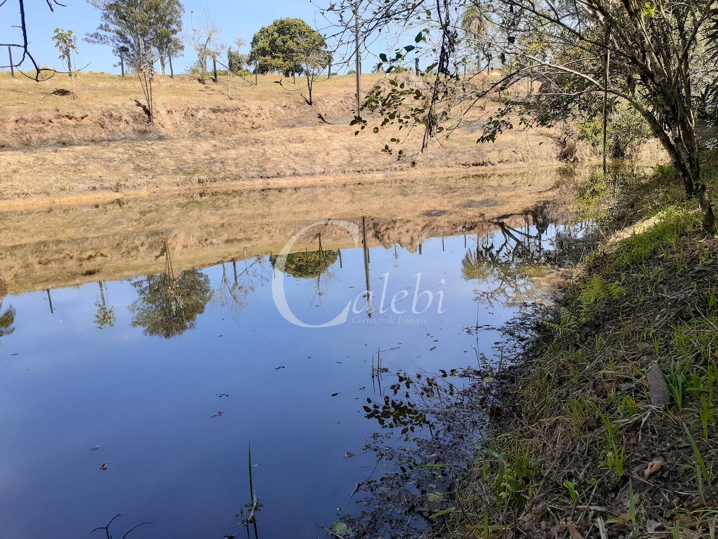 Fazenda à venda com 4 quartos, 2m² - Foto 19