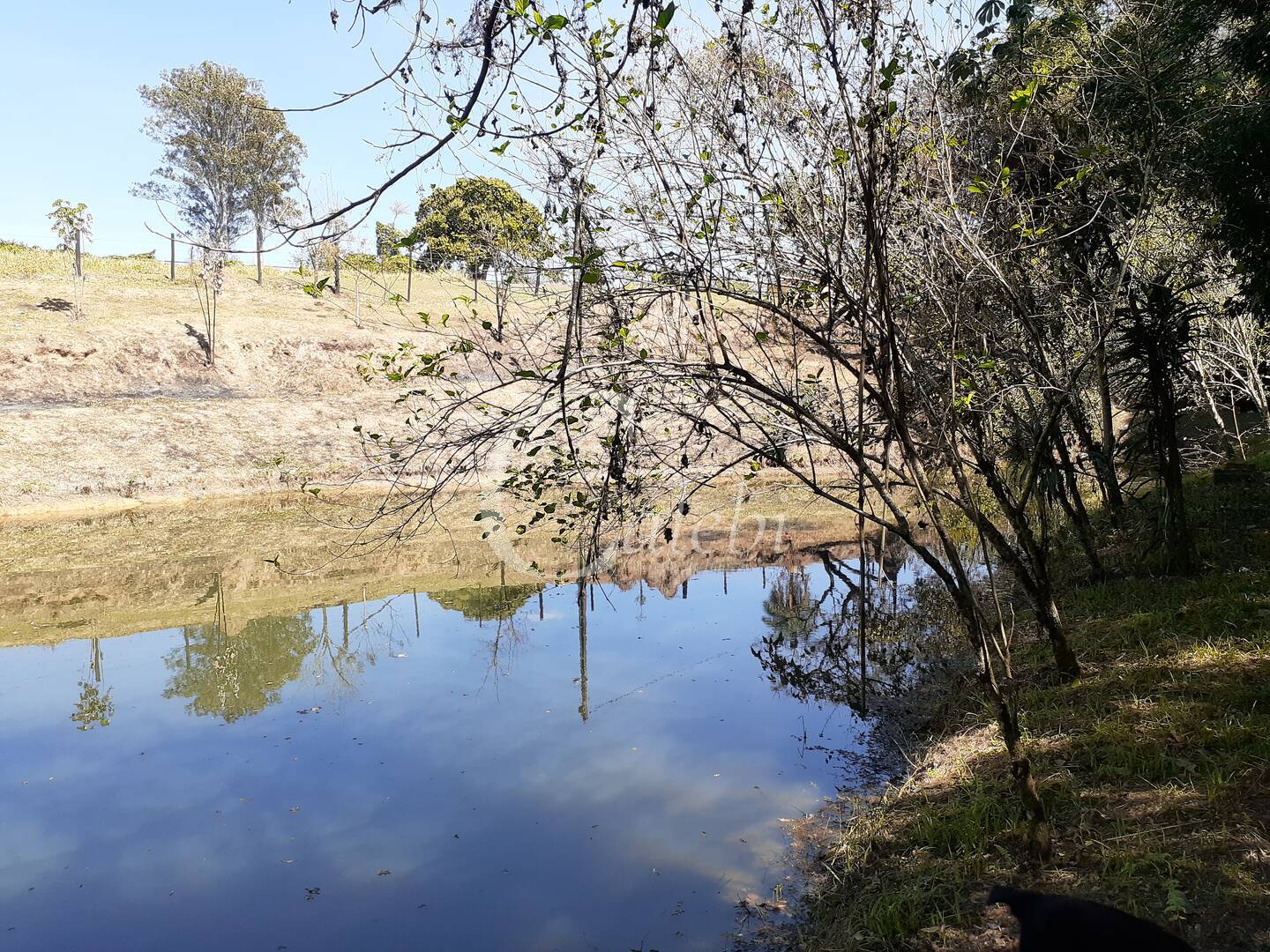 Fazenda à venda com 4 quartos, 2m² - Foto 22