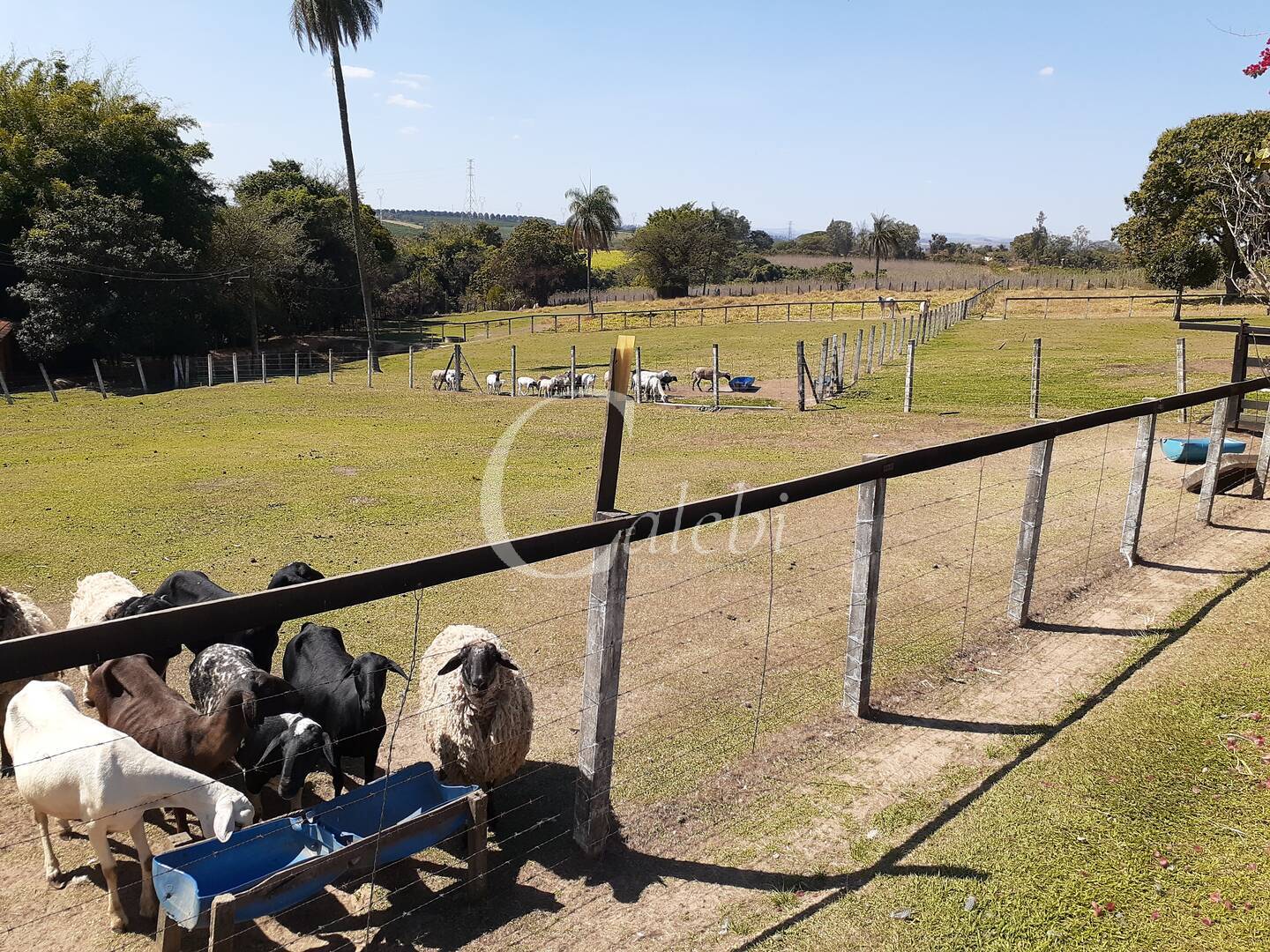 Fazenda à venda com 4 quartos, 2m² - Foto 23