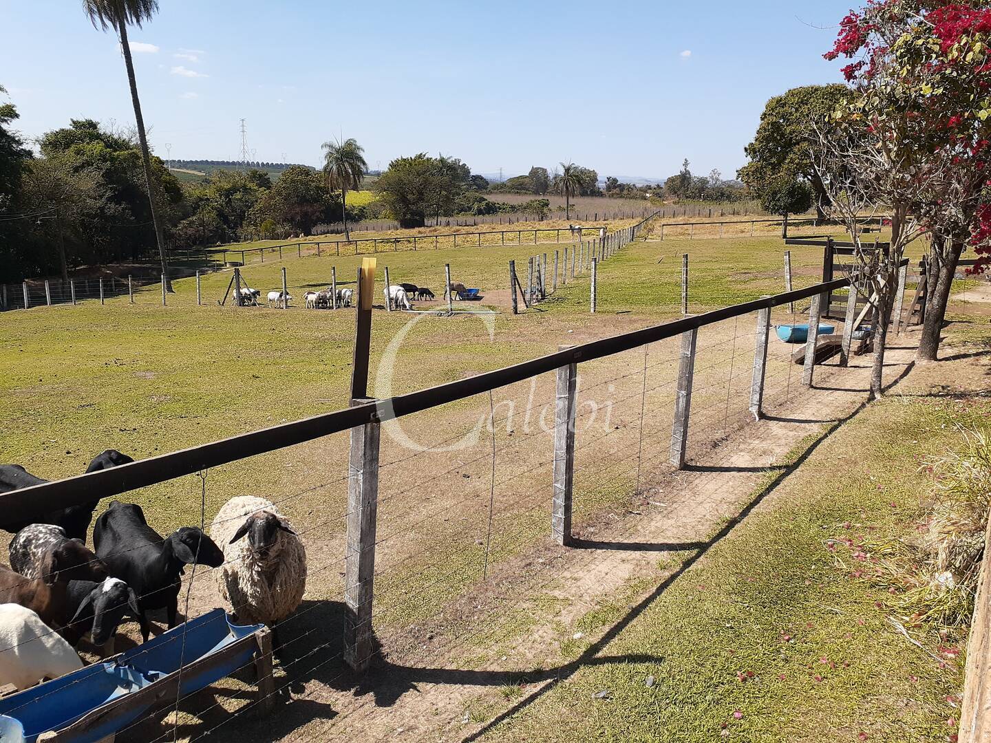 Fazenda à venda com 4 quartos, 2m² - Foto 1