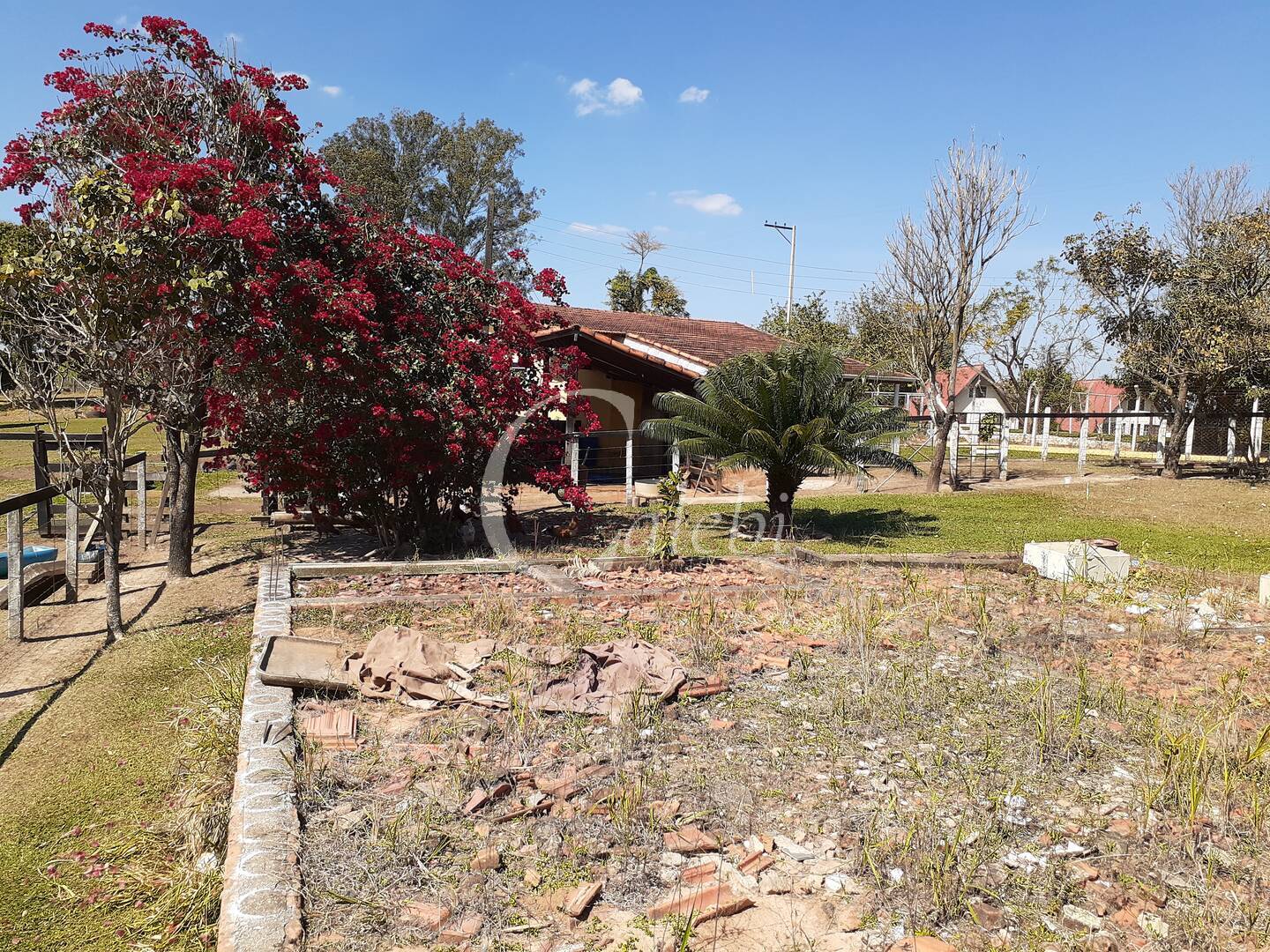 Fazenda à venda com 4 quartos, 2m² - Foto 24