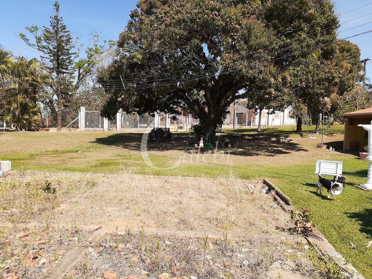 Fazenda à venda com 4 quartos, 2m² - Foto 25