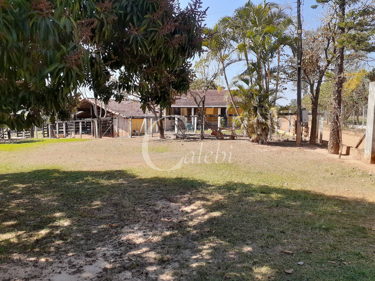 Fazenda à venda com 4 quartos, 2m² - Foto 26