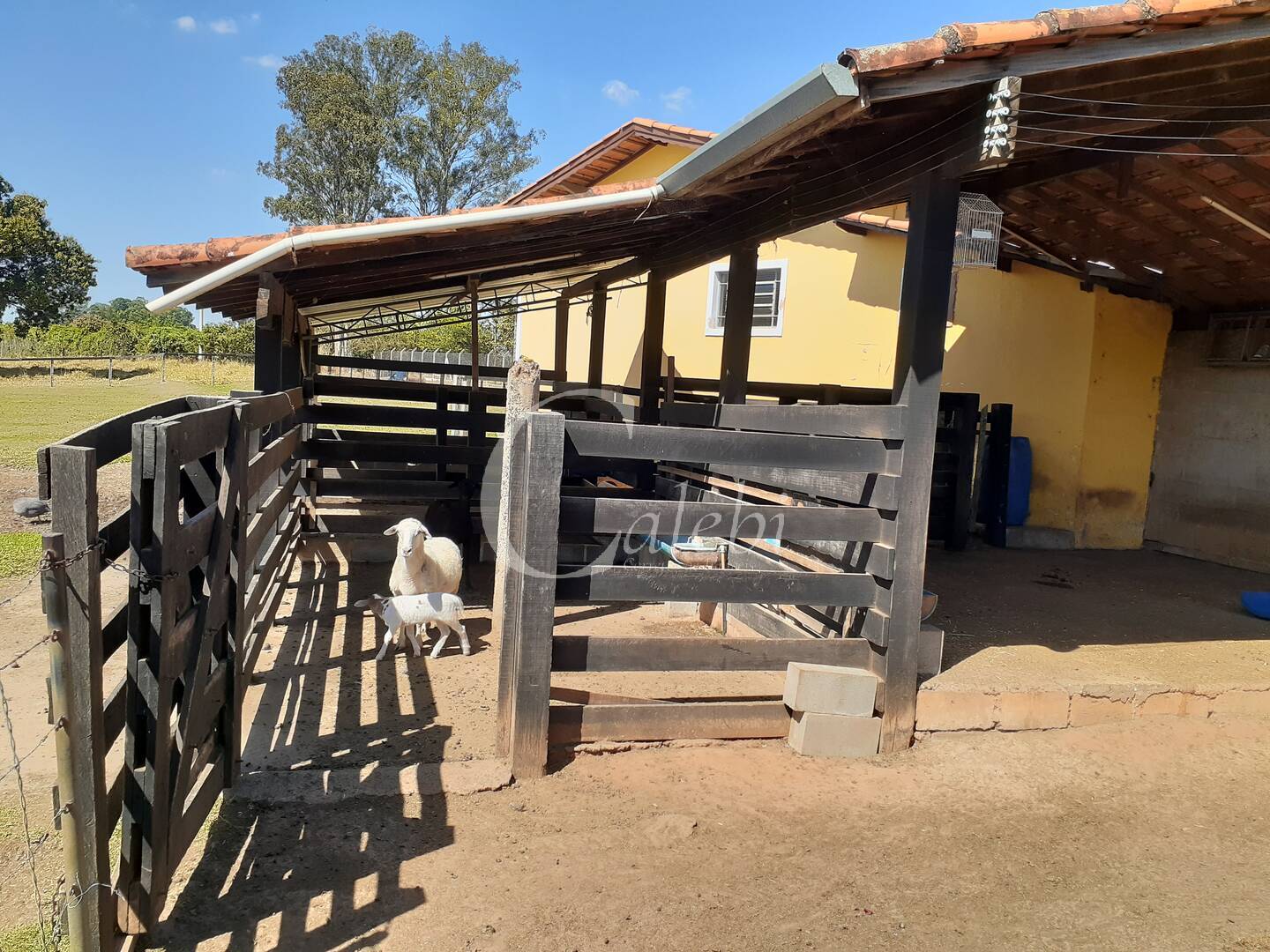 Fazenda à venda com 4 quartos, 2m² - Foto 28