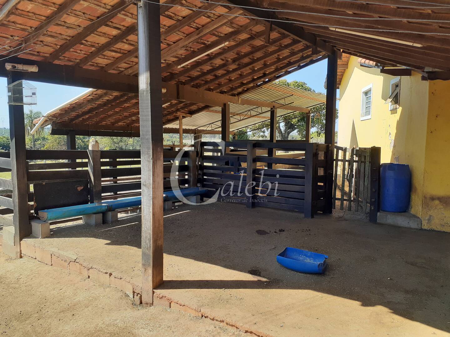 Fazenda à venda com 4 quartos, 2m² - Foto 29