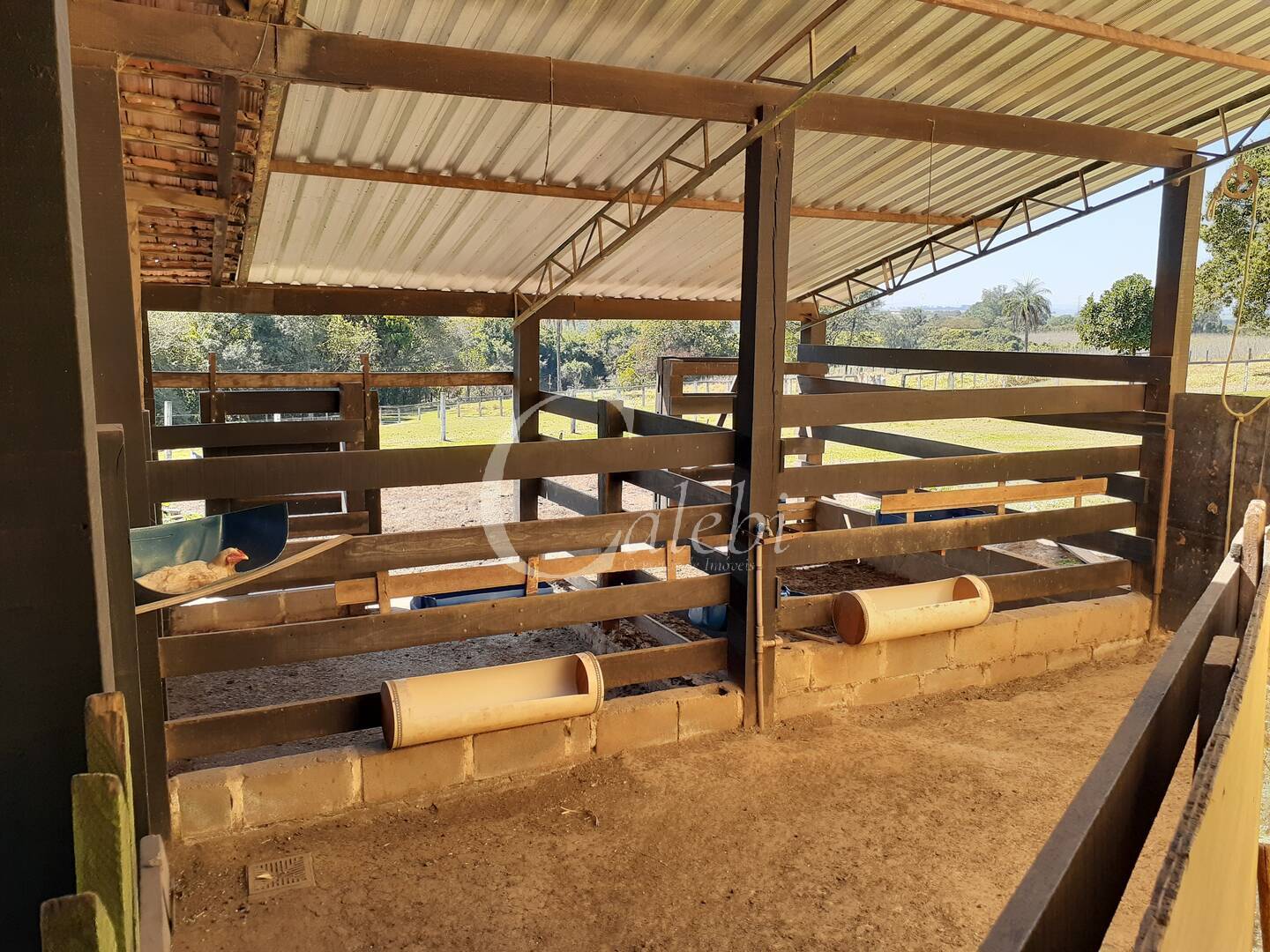 Fazenda à venda com 4 quartos, 2m² - Foto 30