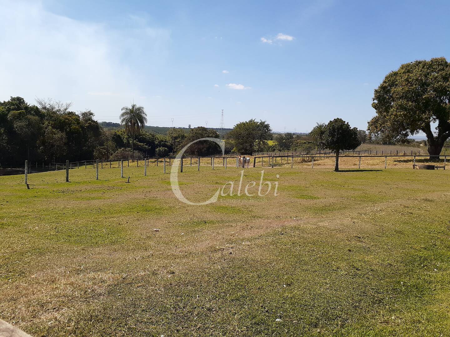 Fazenda à venda com 4 quartos, 2m² - Foto 33