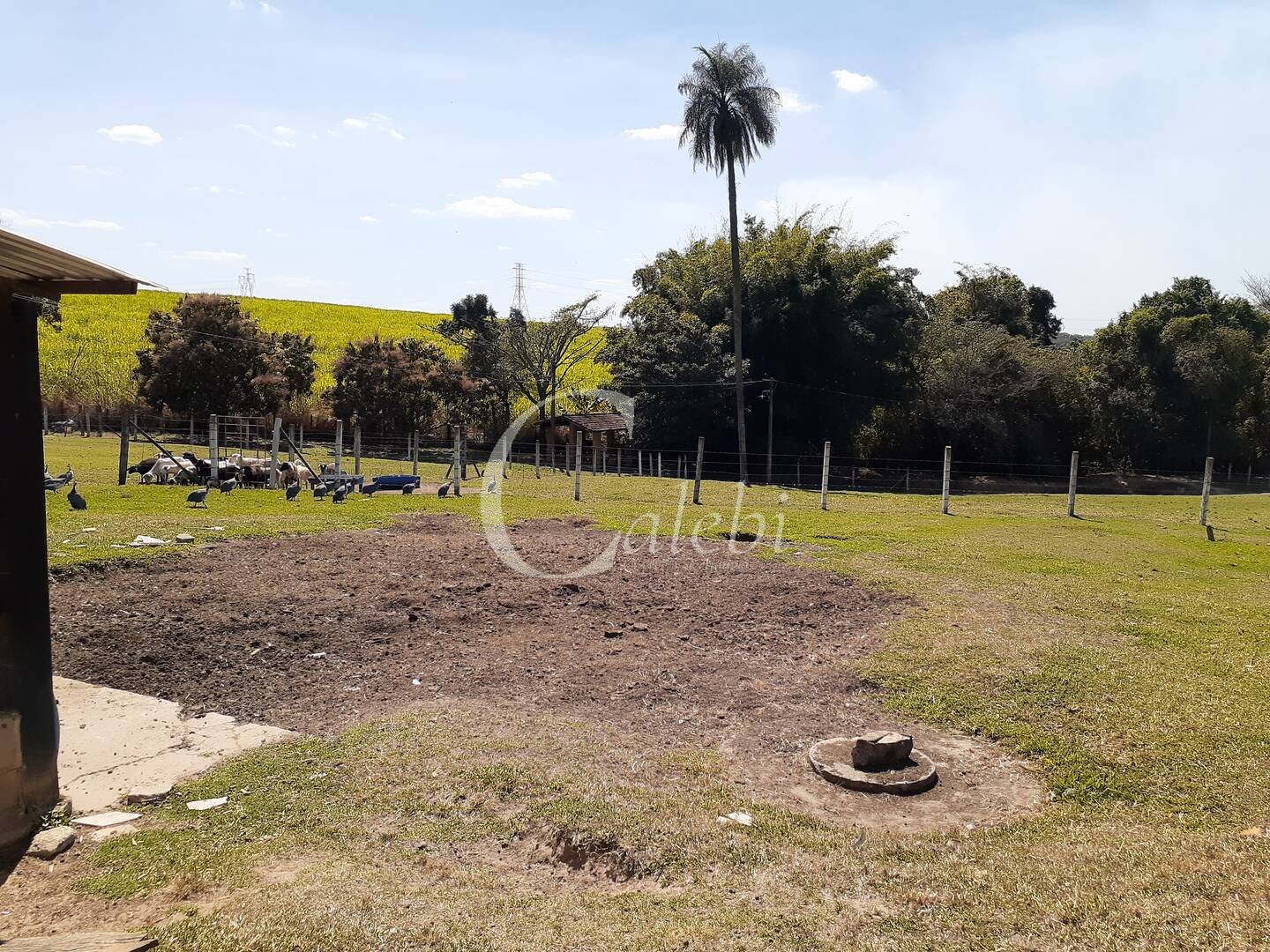 Fazenda à venda com 4 quartos, 2m² - Foto 34