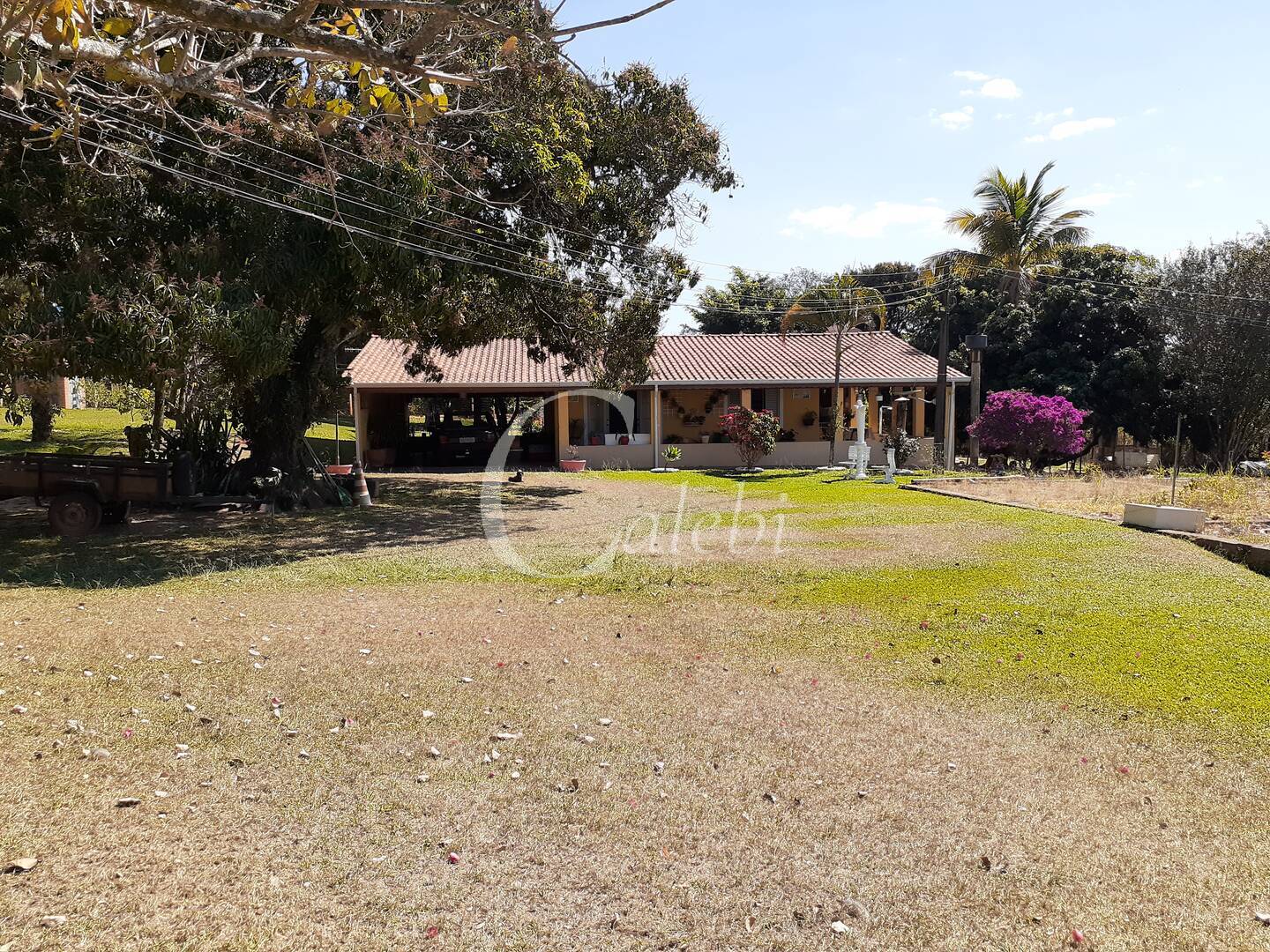 Fazenda à venda com 4 quartos, 2m² - Foto 35