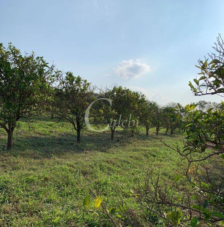 Fazenda à venda com 2 quartos, 2m² - Foto 5