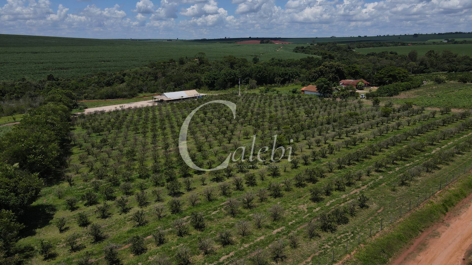 Fazenda à venda com 2 quartos, 2m² - Foto 1