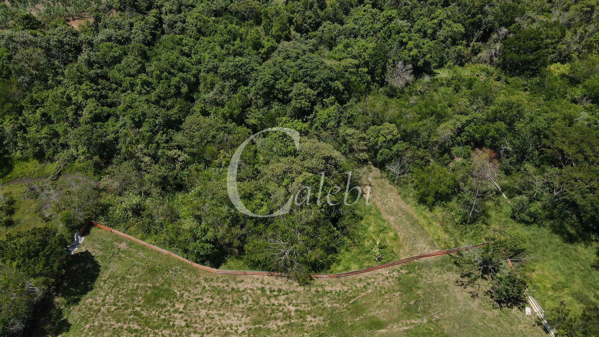 Fazenda à venda com 2 quartos, 2m² - Foto 10