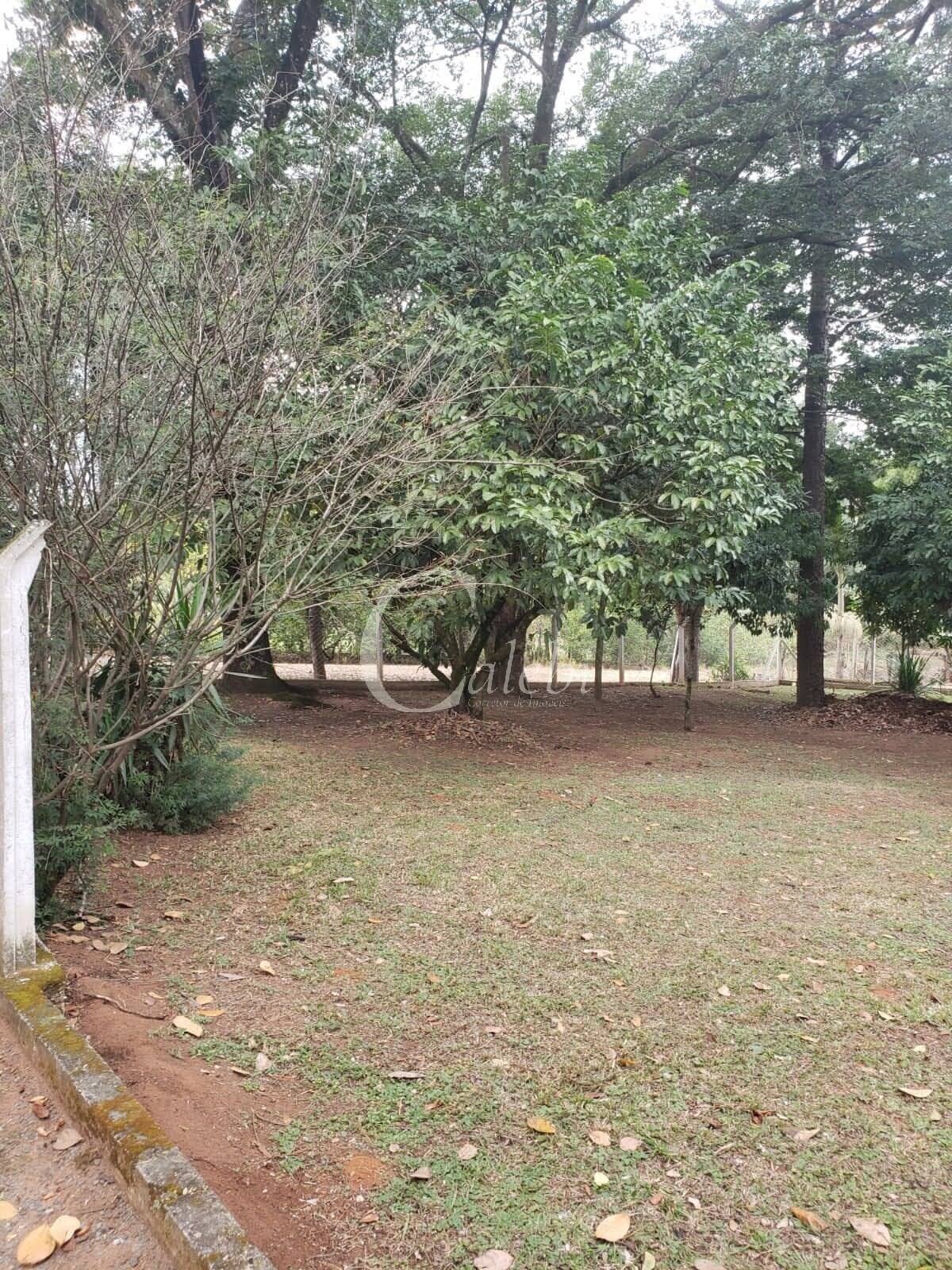 Fazenda à venda com 2 quartos, 290m² - Foto 2