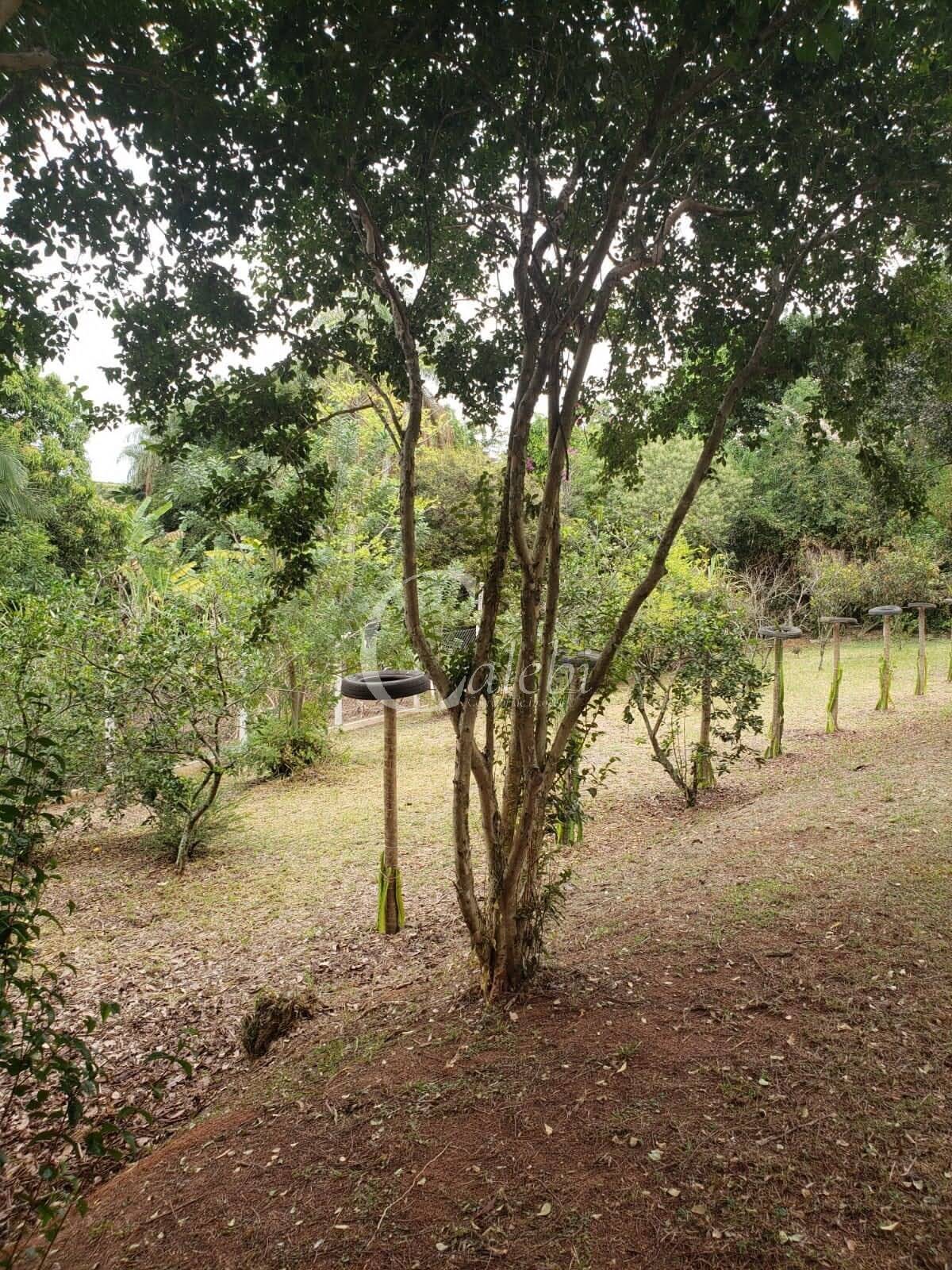 Fazenda à venda com 2 quartos, 290m² - Foto 12