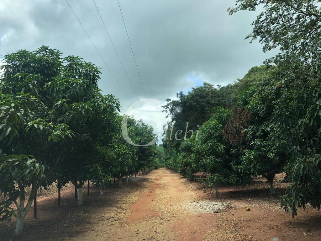 Fazenda à venda, 7m² - Foto 8