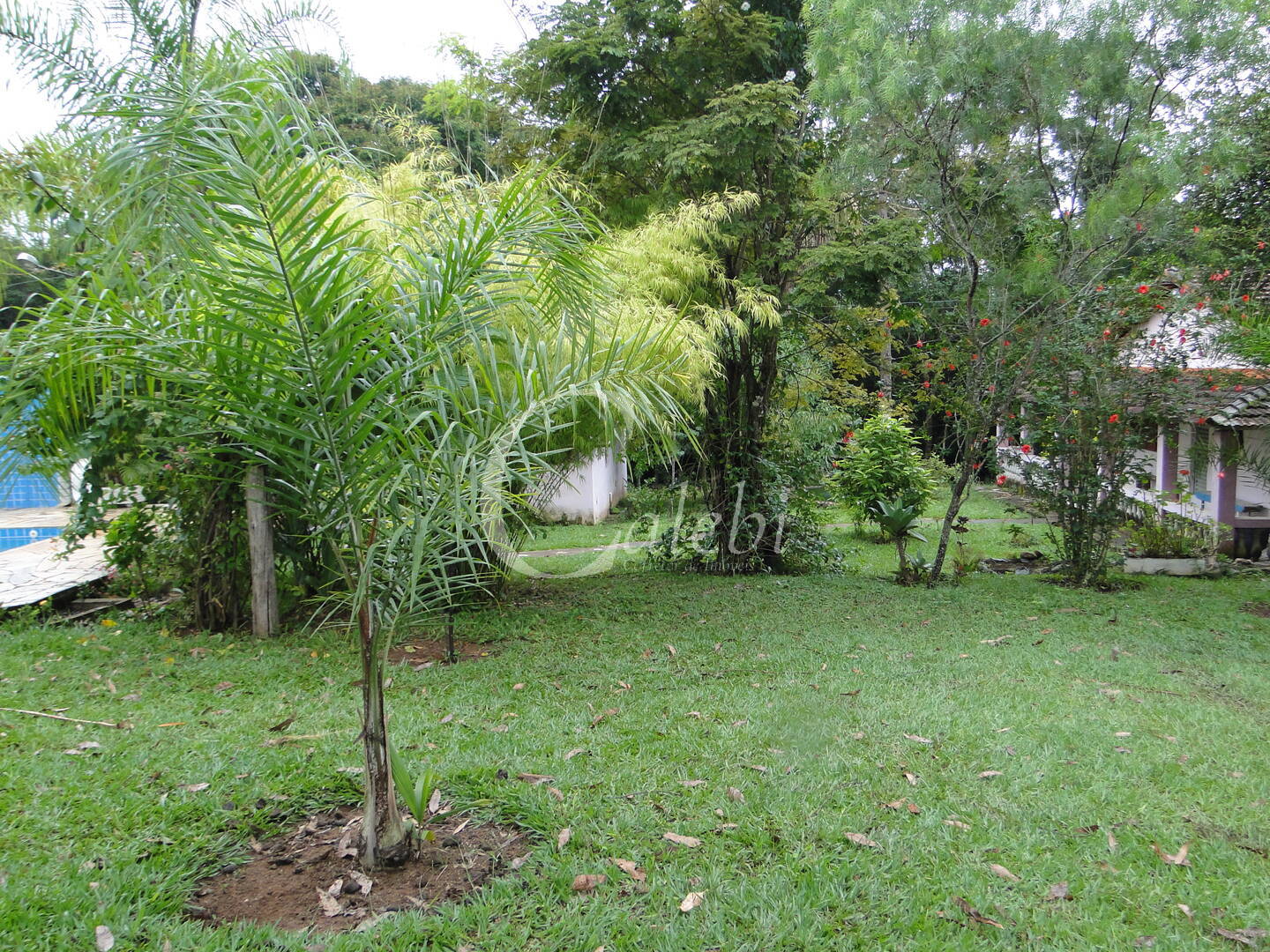 Fazenda à venda com 3 quartos, 4m² - Foto 6