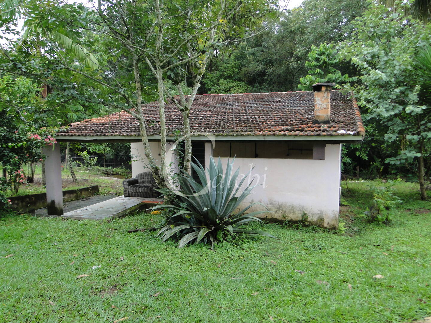 Fazenda à venda com 3 quartos, 4m² - Foto 9